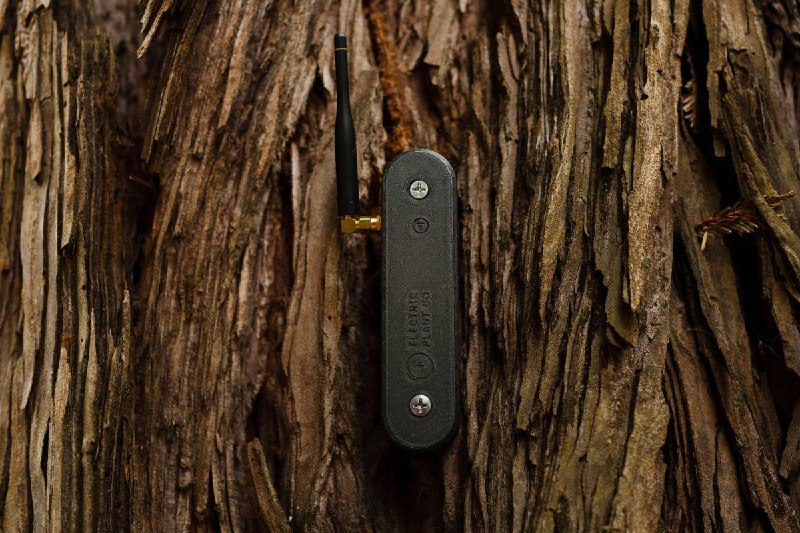 Sensor attached to a tree branch measuring electrical impulses from plant tissue